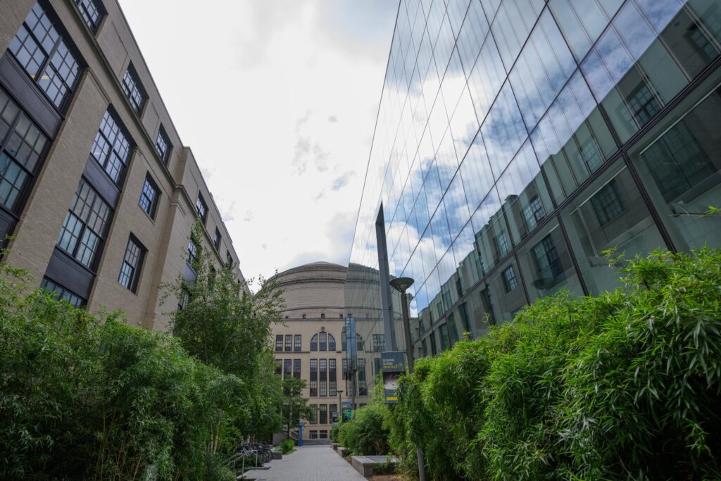 MIT Quantum Initiative launches postdoctoral fellowship program | MIT News MIT Quantum Initiative launches postdoctoral fellowship program | MIT News
