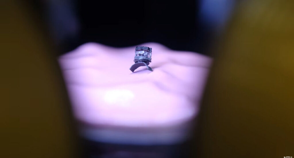 Scientists Create a Seed-Sized Robot That Does 5 Surgery Jobs Scientists Create a Seed-Sized Robot That Does 5 Surgery Jobs