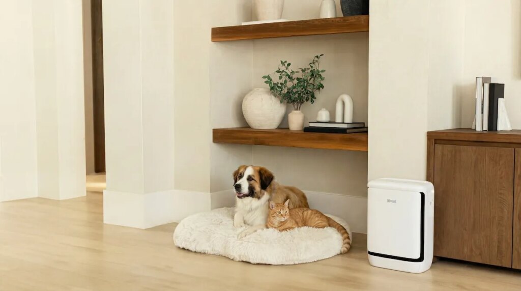 Levoit’s new air purifier is for the pet odors that have taken over your apartment Levoit's new air purifier is for the pet odors that have taken over your apartment