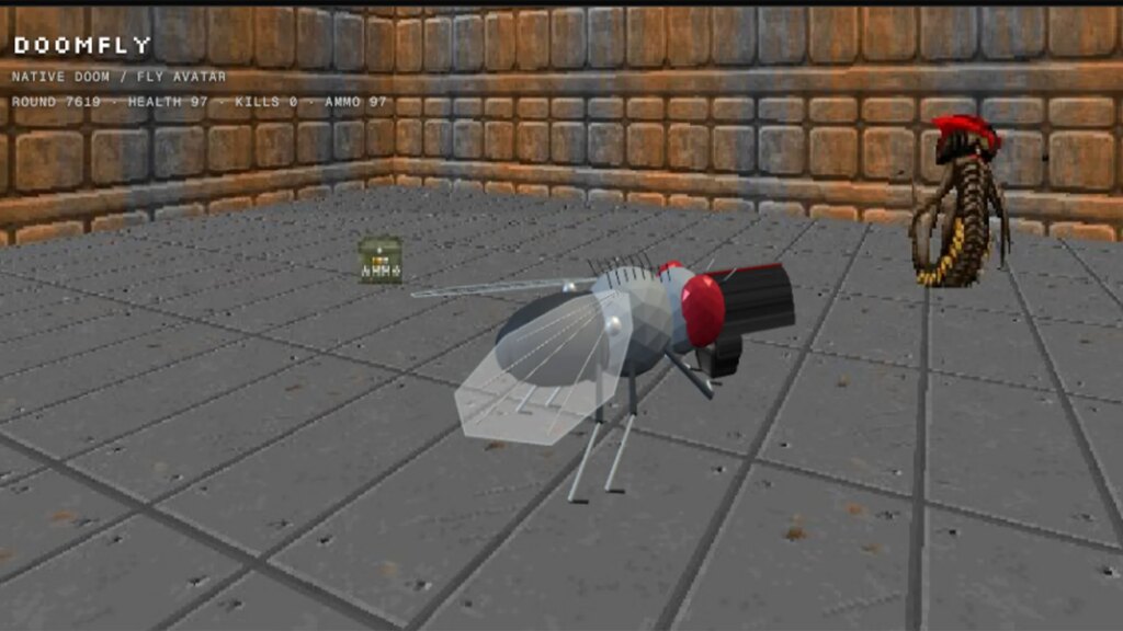 A fly being taught how to play Doom.