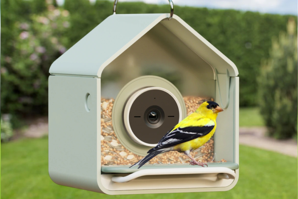 A New Bird-Recognizing Feeder Under $100 Launches for Beginner Bird-Watchers A Birdbuddy Nook feeder with a goldfinch perched on it.